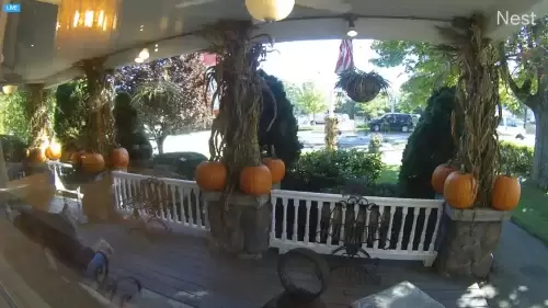 Spoiled Rotten Live Webcam – Ogunquit, Maine, USA