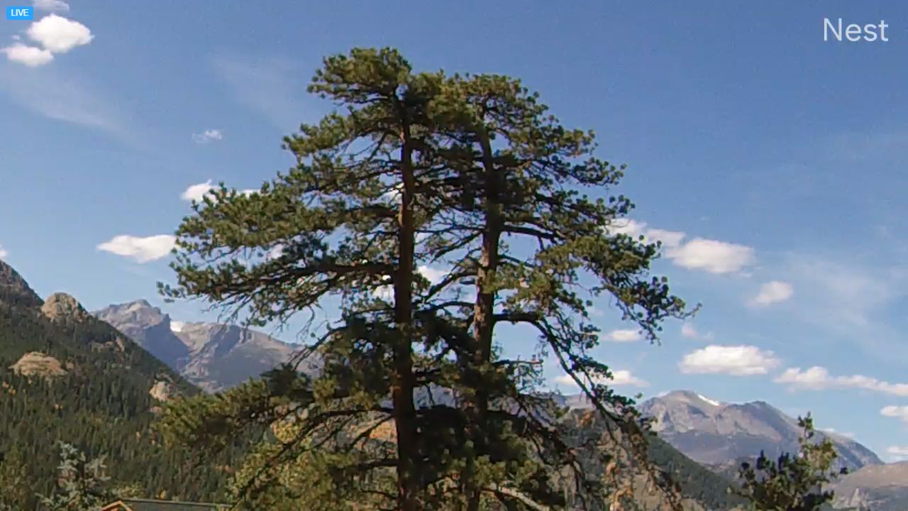 Webcam Rocky Mountain National Park – Estes Park, CO