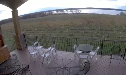 Ventosa Vineyards Live Webcam – Geneva, New York