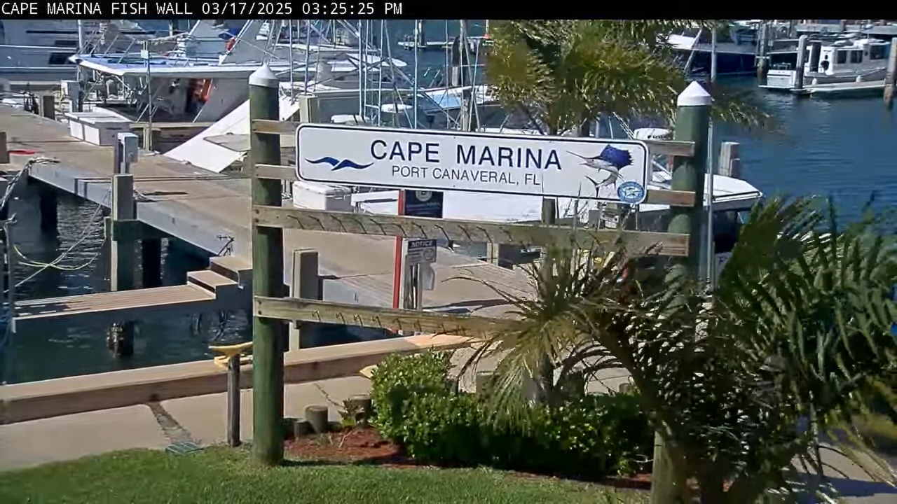 Disney Cruise Line Webcam – Port Canaveral, FL