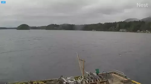 Ucluelet Harbour British Columbia – Real Time Live Cam