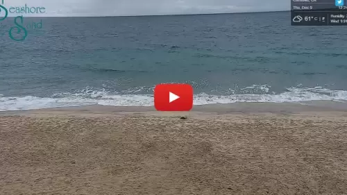 Seashore On The Sand Beach Cam Seashore On The Sand Beach Cam