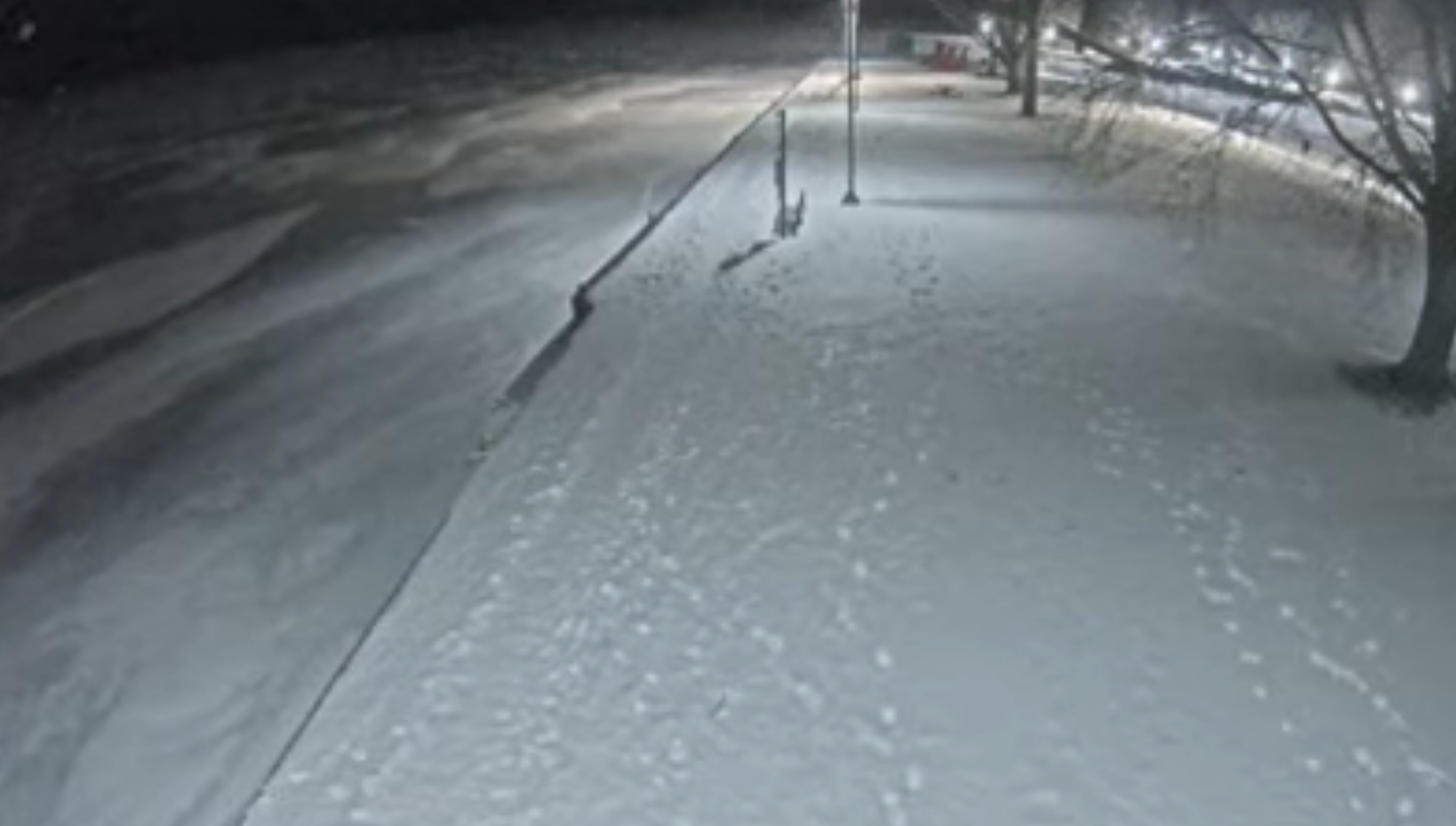 Live Webcam Brock House Island