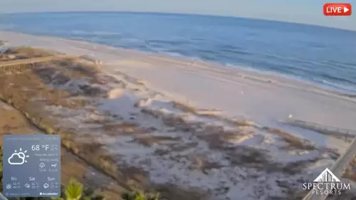 Alabama Live Webcams – Yellowhammer State