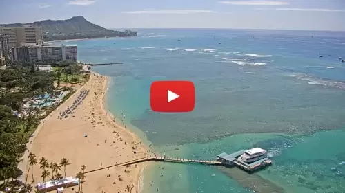 Hilton Hawaiian Village Waikiki Beach Resort Webcam New