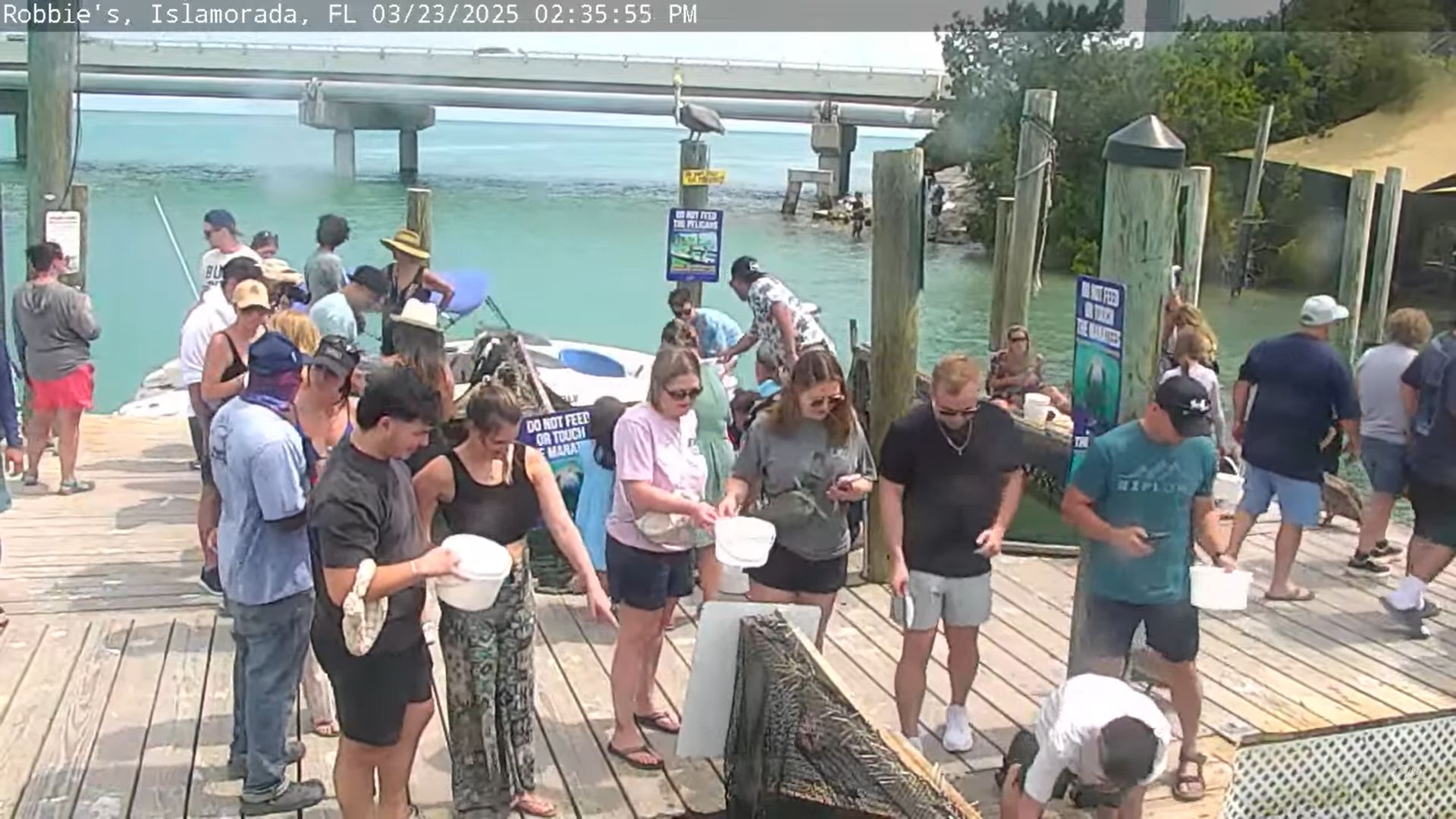 Live Webcam Robbie’s Marina – Islamorada, Florida