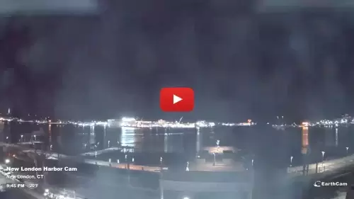 Custom House Maritime Museum Webcam New