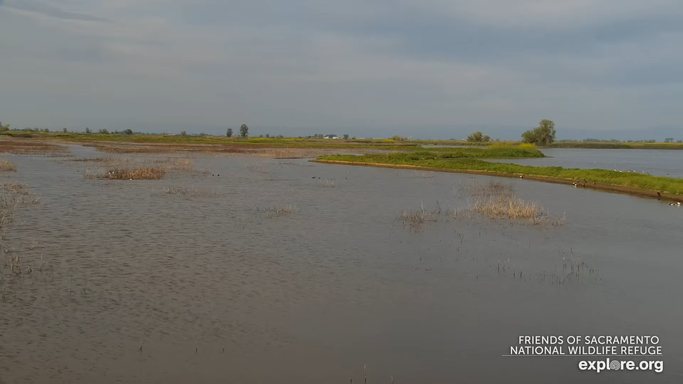 Sacramento, CA Weather Webcam