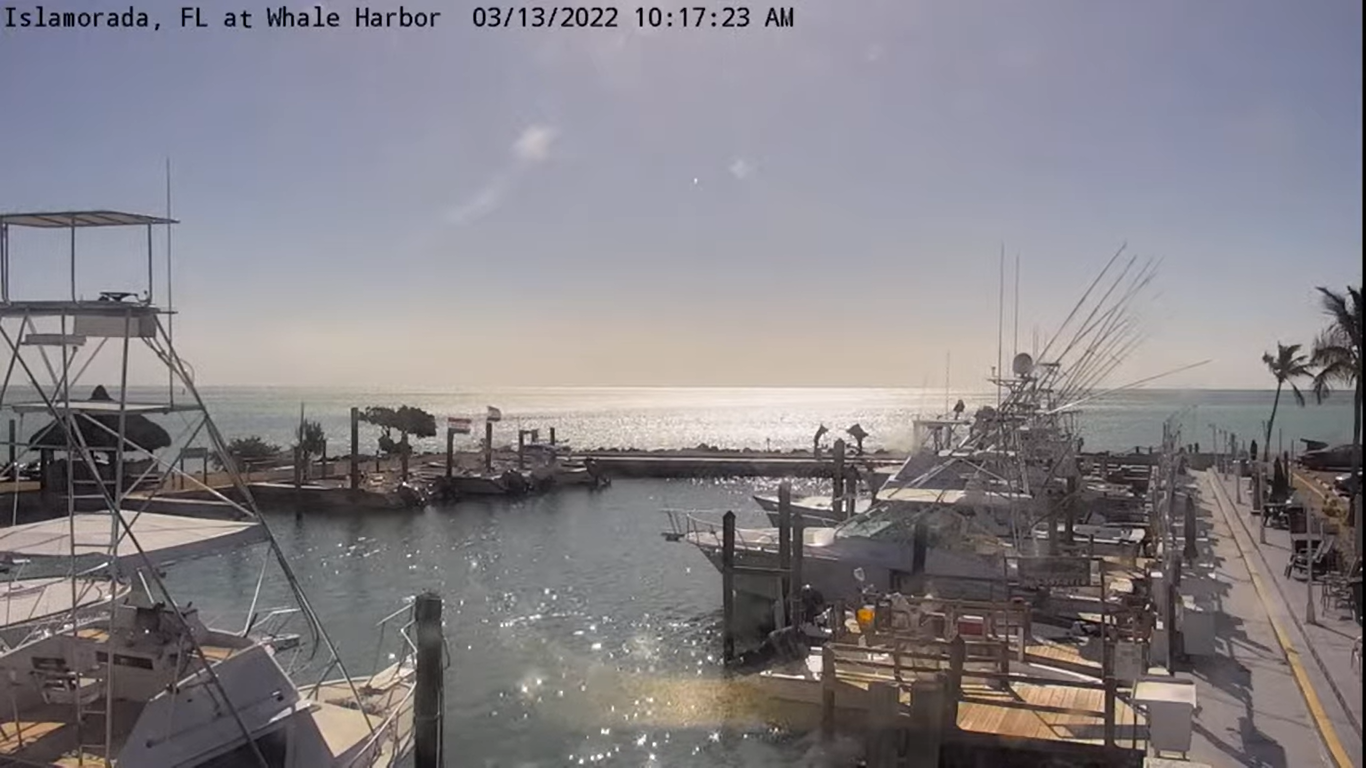 Whale Harbor Seafood Buffet Live Webcam – Islamorada, FL