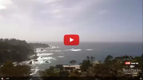 Tickle Pink Inn Live Webcam New In California