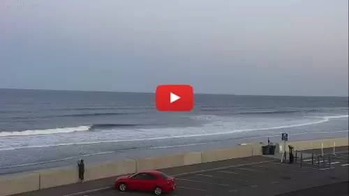 Cinnamon Rainbows Surf Cam