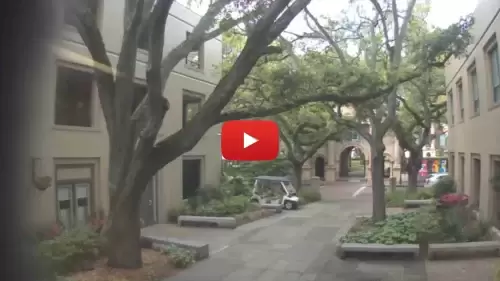 College Of Charleston Live Webcams New