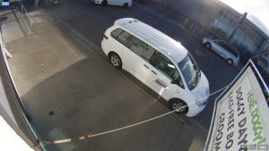 Here Doggy Daycare Live Webcams, San Francisco