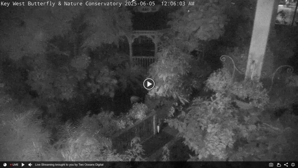 Key West Butterfly & Nature Conservatory