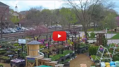 Kirkwood Farmers Market Live Webcam | Mo