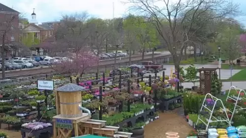 Kirkwood Farmers Market Live Webcam | MO