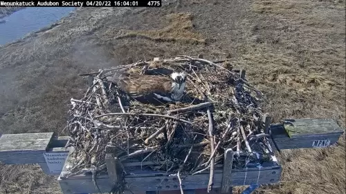 Hammonasset Beach State Park Webcam | Live Video