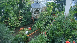 Key West Butterfly & Nature Conservatory
