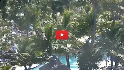 Islamorada Cheeca Lodge Florida Keys Live Webcam