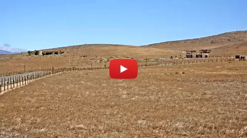 Antelope Valley Poppy Reserve Live Webcam New