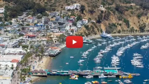 Wrigley Mansion Live Webcam New