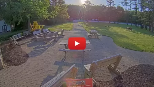 Chapin Forest Reservation Live Webcam New