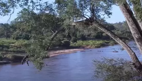 Olifants River Webcam, Balule Nature Reserve, South Africa