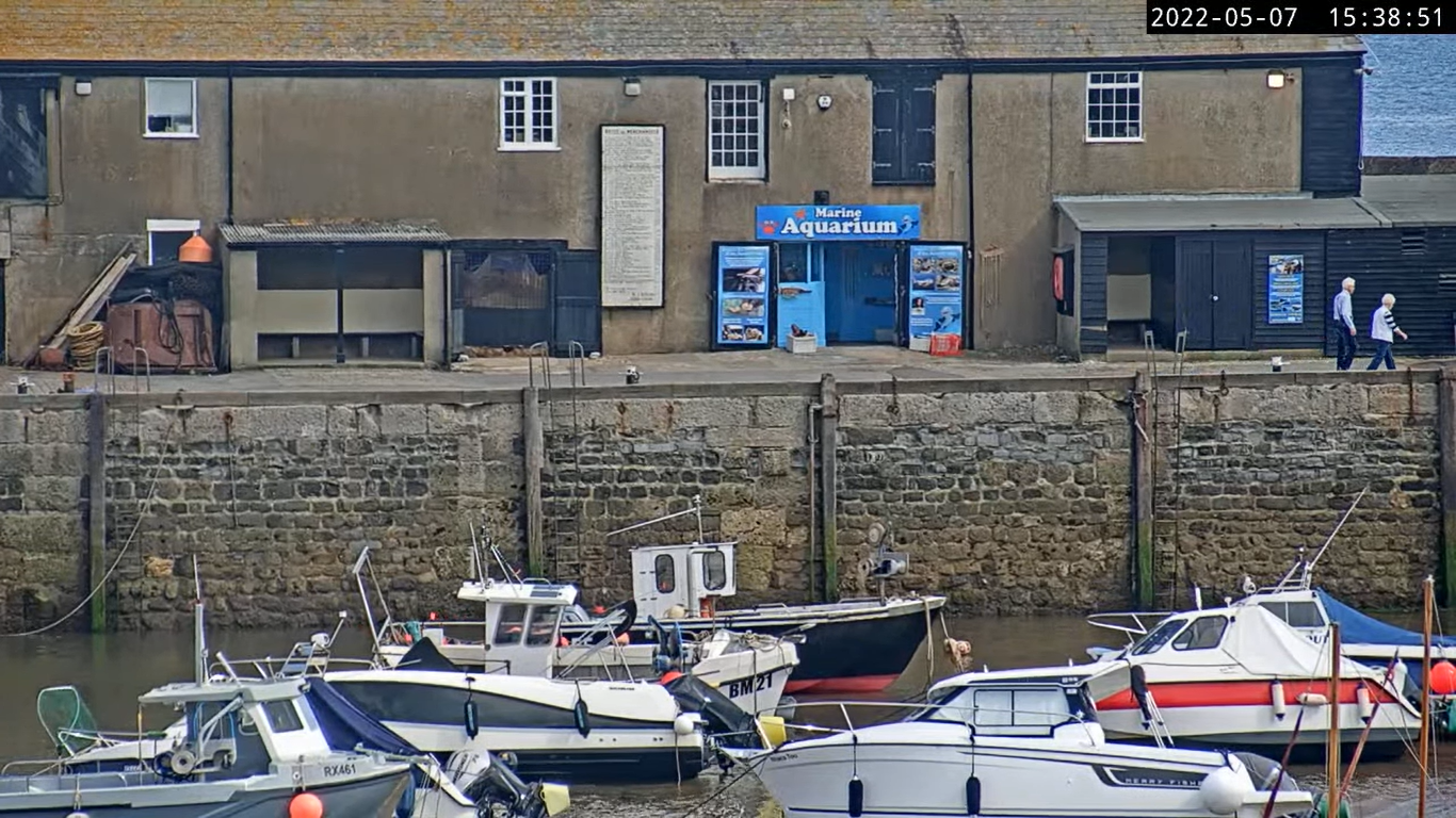 Lyme Regis Webcam | UK | Live Harbour Video