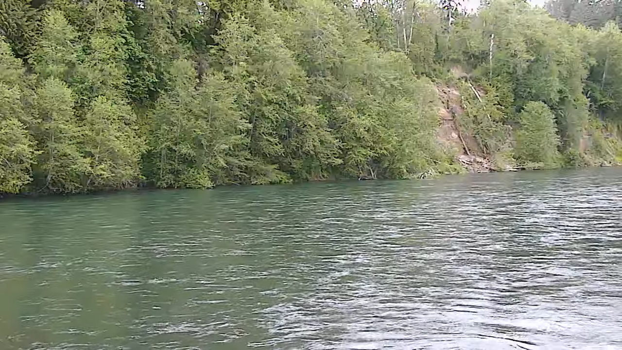 Cowlitz River Live Cam – Washington | HD Video