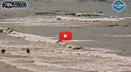 Babe's Beach Live Stream Cam Galveston, Texas New