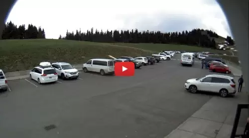 Hurricane Ridge Webcam, Washington Hurricane Ridge Webcam, Washington