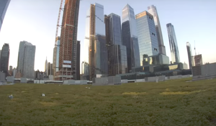 Hudson Yards Webcam – Manhattan, NY