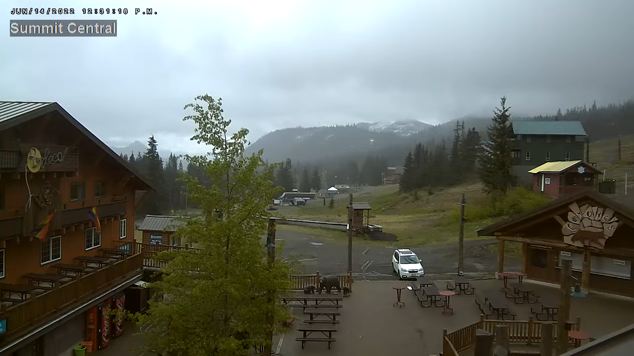 Snoqualmie Pass Webcam – Real Time Live Video – Washington