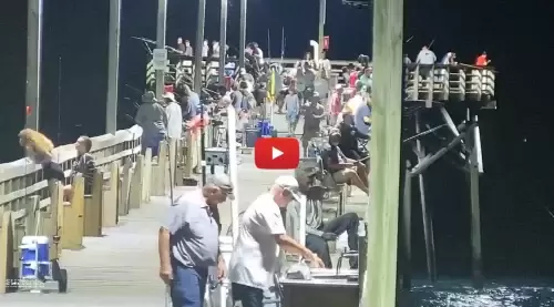 Surf City Pier Cam Surf City Pier Cam