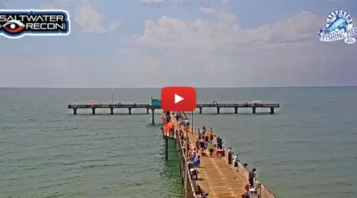 Galveston, Texas Harbor House - Pier 19, Live Cam Stream New