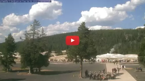 Old Faithful Webcam | Geyser Old Faithful Webcam | Geyser