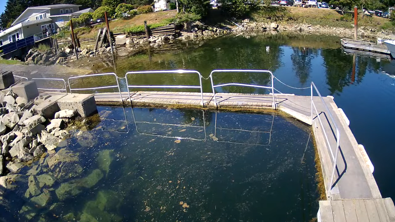 Campbell River Weather Webcam, BC