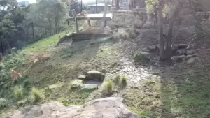 Taronga Zoo Sydney | Western Plains