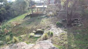 Taronga Zoo Sydney - Western Plains