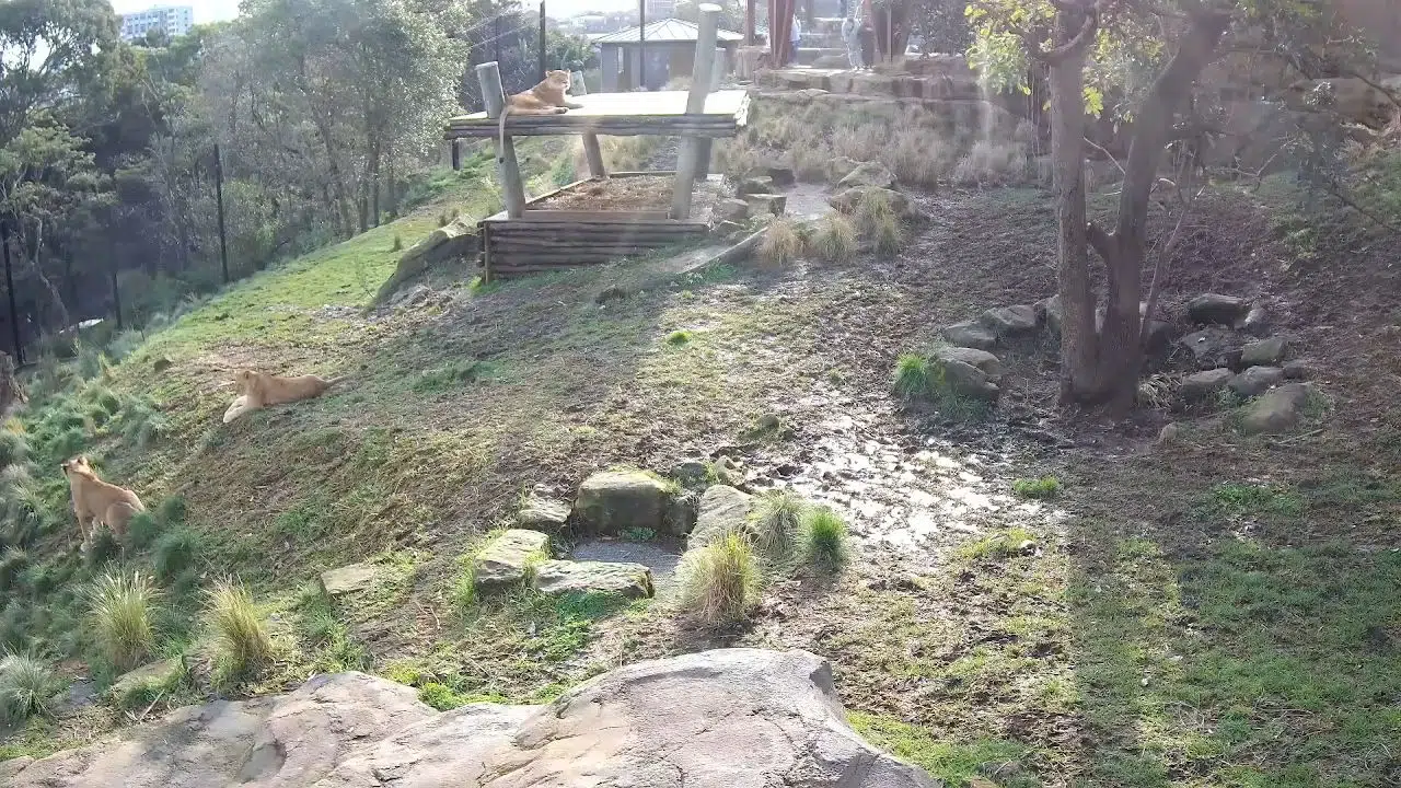 Taronga Zoo Sydney – Western Plains