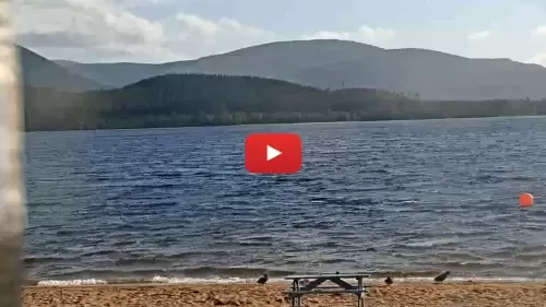 Cairngorm Webcam, Loch Morlich