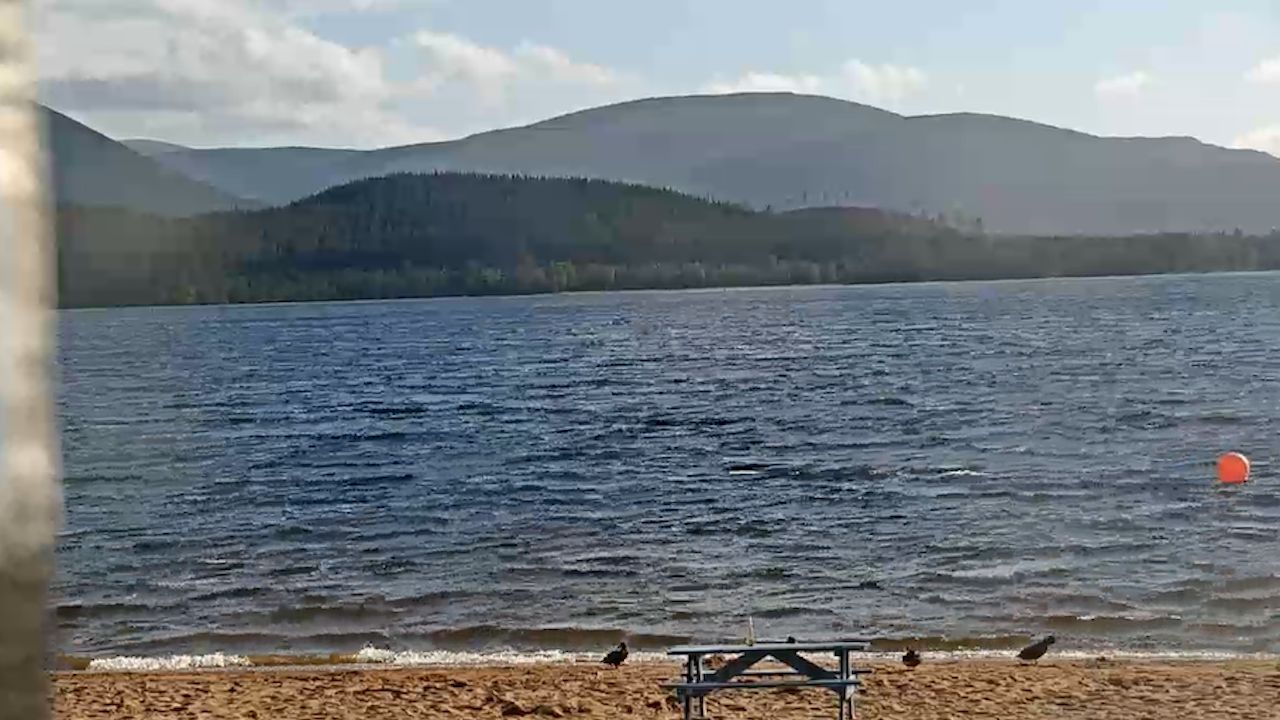Cairngorm Webcam, Loch Morlich – Scotland