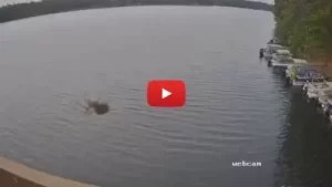 Beacons Of Minocqua Webcam | Wisconsin