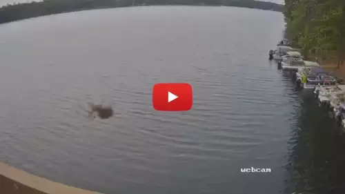 Beacons Of Minocqua Webcam | Wisconsin