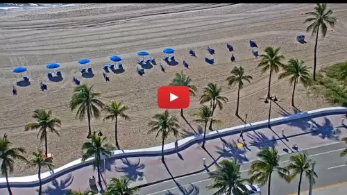 Las Olas Intracoastal promenade Park Live Webcam