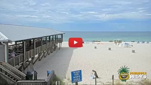 Pineapple Willy's Beach Cam