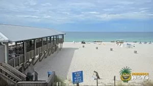 Pineapple Willy's Beach Cam