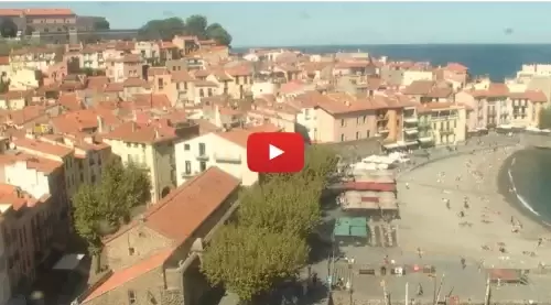 Webcam Collioure