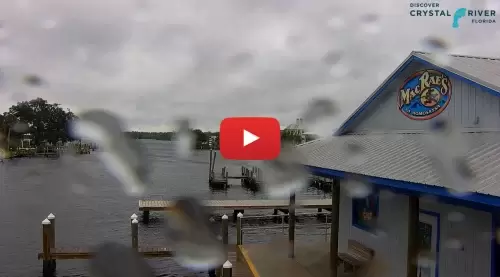 Homosassa Springs Webcam, Fl