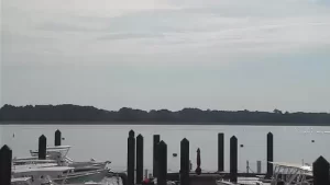 Daniel Island | Port Of Charleston | Wando River